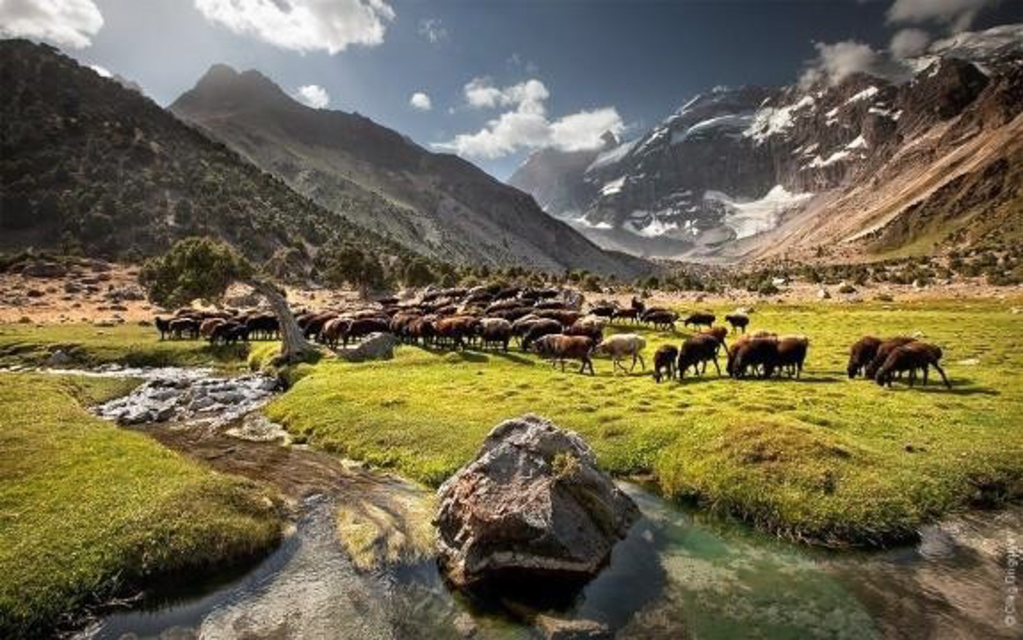 Pamir – Auf dem Dach der Welt